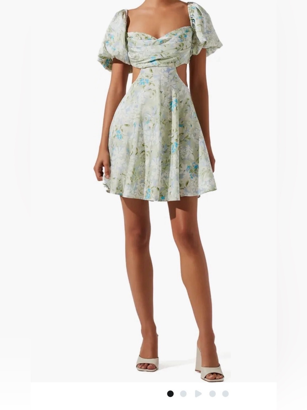 Astr Floral Circle dress  in Pale Green and Blue